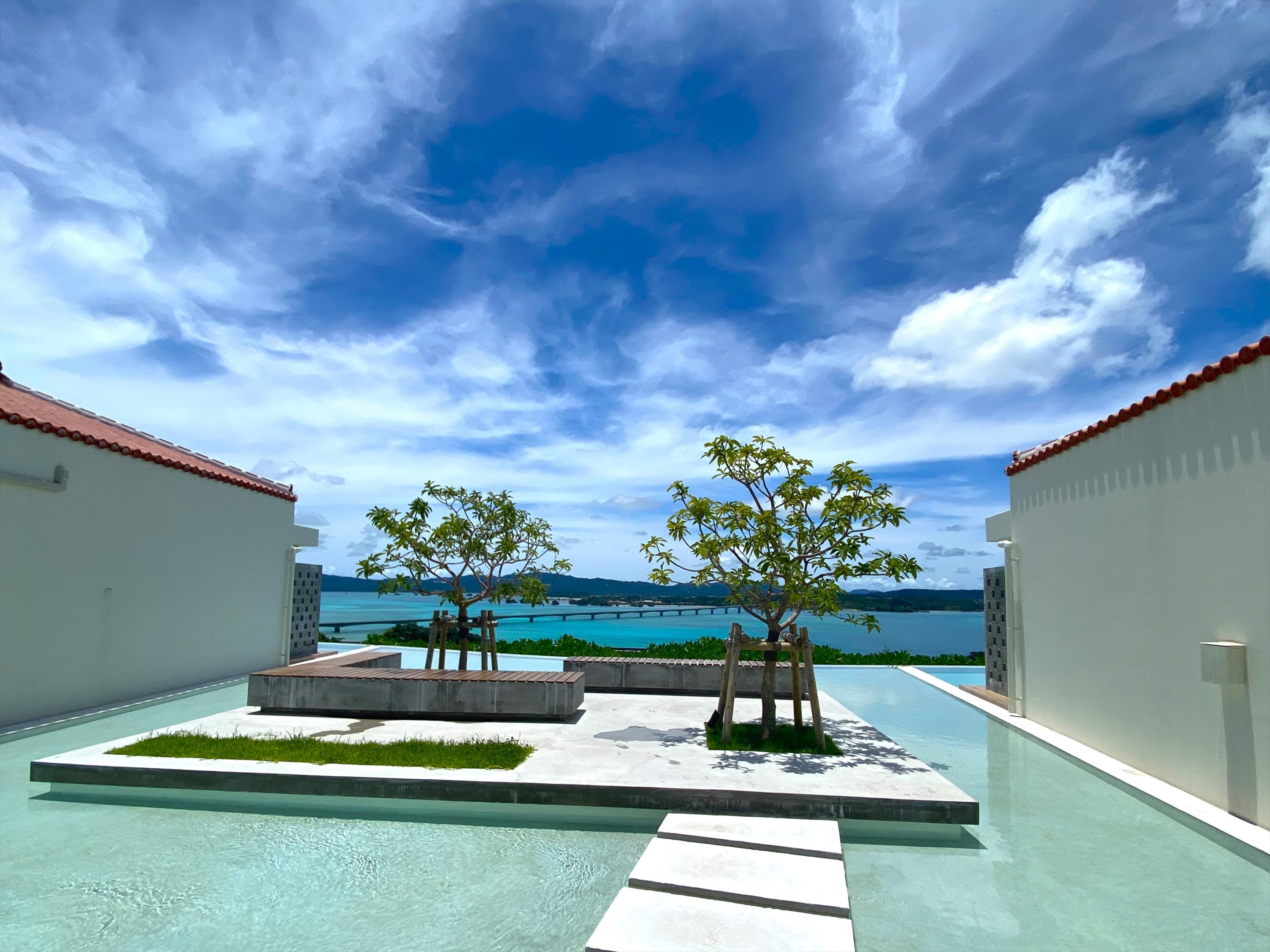 ヴィオテラス プラン検索